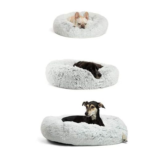 Kutya, macska fekhely