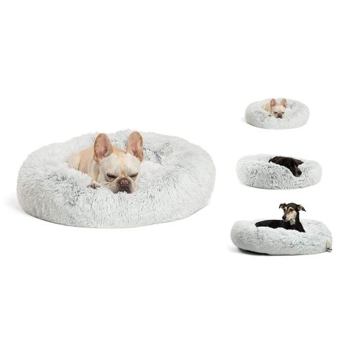 Kutya, macska fekhely